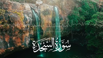 Sheikh Sami Al Hasan  Surat E Sagda - الشيخ سامي الحسن سورة السجدة