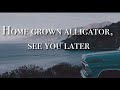 George Ezra || Shotgun ( Lyric Video )