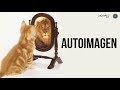 AUTOIMAGEN