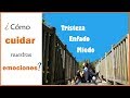 Cómo CUIDAR de nuestras EMOCIONES ☘️ - Mindfulness, meditación, salud, vida sencilla