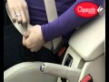 Clippersafe bump belt  demonstration  babysecurity