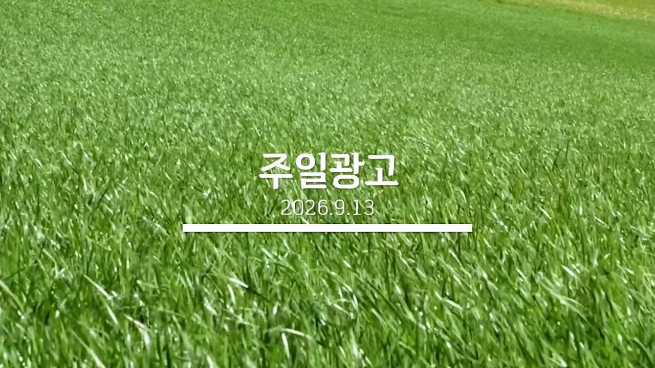 20260913 교회소식