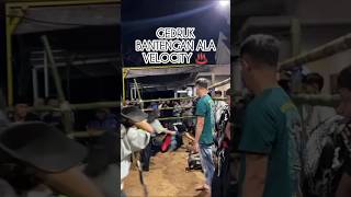 Gedruk Bantengan Velocity  cover remix dancer gedruk djremix karnaval jogetkarnaval