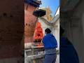 The Lost Temples of Kathmandu #1 {Shangri~la} #shorts #lostcity #TemplesofNepal #streetsofkathmandu