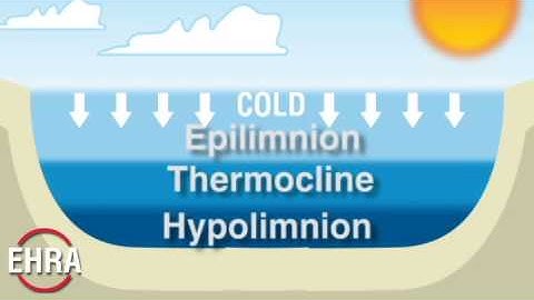 Lake Turnover Concept Illustration