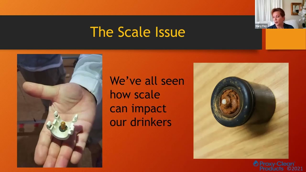 Minerals- The Hidden Culprit