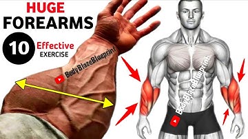 Top 10 Forearm Workout //Forearm Effective Exercises 🔥