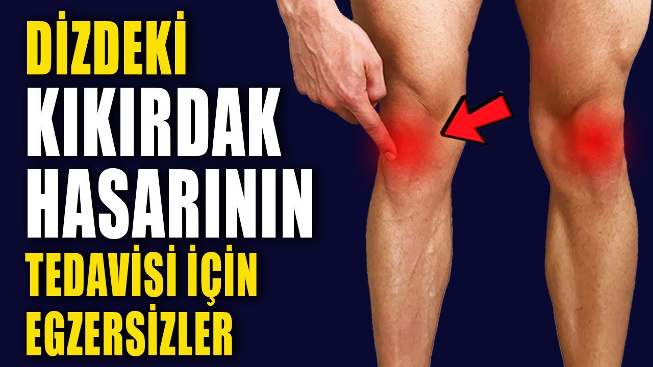 DİZDEKİ KIKIRDAK HASARININ TEDAVİSİ İÇİN EGZERSİZLER #aktifizyo #dizağrısı #fiziktedavi