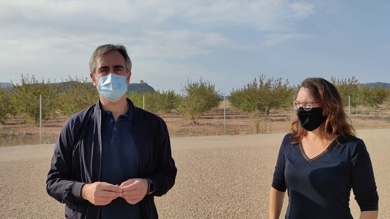 Bodegas Silvano García 