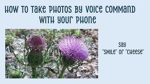 How to take photos by voice command