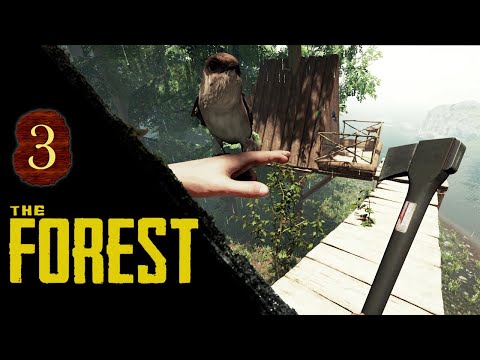 The Forest Youtube