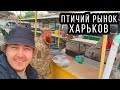 Харьков  Птичий Рынок во время боевых действий!