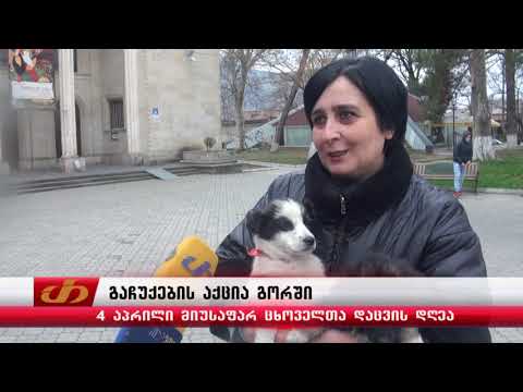 ლეკვების გაჩუქების აქცია გორში