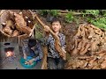 Full harvesting vegetables and fruits to sell  the offgrid life of orphan boy nam