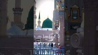 Mei To Malik Hi Kahunga Kewo Malik Ek Habib