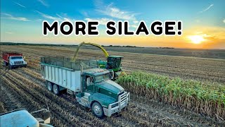 Chopping Forage Sorghum For SILAGE | Kansas Farming 2024