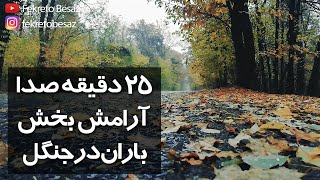 صدای طبیعت | بارش باران عاشقانه | آرامش صدای نم نم باران