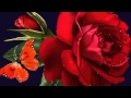 ابوعركي البخيت انت معاي في جواي 