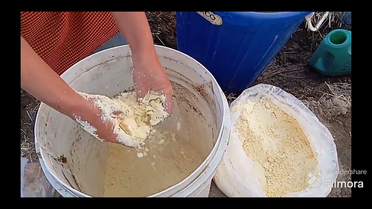 Kumno ban shna ia ka Sboh DRAVA JEEVAMRUT Natural Farming