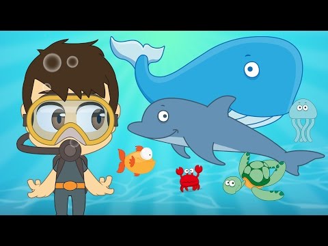 Aquatic Animals In French For Kids الحيوانات للأطفال حيوانات