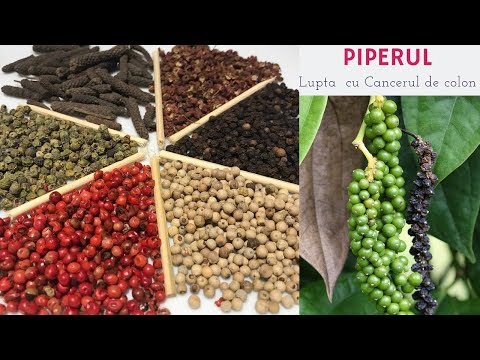 Video: Piper - îngrijire și Cultivare