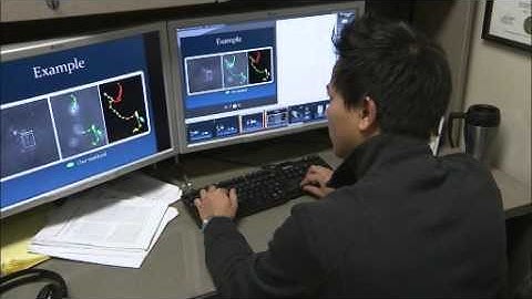 Bill Ribarsky, Ph.D. - Chair, Department of Computer Science