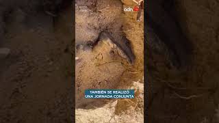 Encuentran ocho fosas clandestinas en Baja California Sur, continúan identificando restos humanos