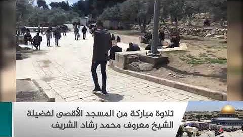 تلاوة من سورة الإسراء لفضيلة الشيخ معروف محمد رشاد الشريف