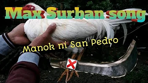 #Maxsurban#Song#  Manok ni San pedro