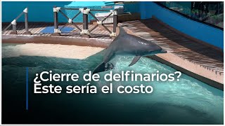 ¿Cierran los delfinarios? Este sería el costo