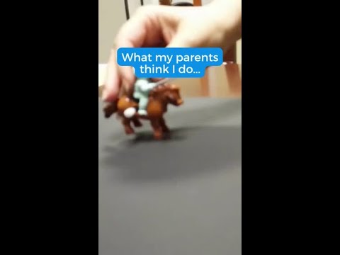 Hi Mom Jousting Knights MTFan Medievaltimes