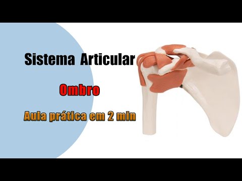 Vídeo: O que o arco coracoacromial faz?