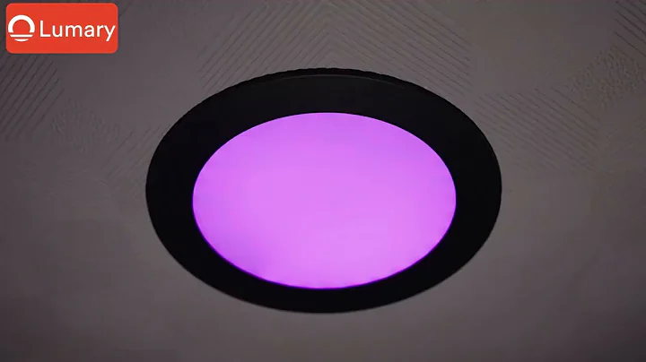 Lumary WiFi Smart Ultra-thin Recessed Lighting Black 4 inch With Remote Controller (US-SD4B-4)