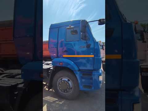 КамАЗ 65116 2012