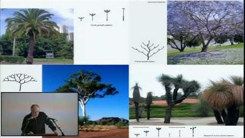 John Frazer - Intentionality: The coding of a design concept