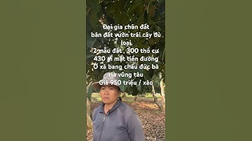 Đại gia chân đất, bán vườn trái cây khủng ở xà bang châu đức bà rịa vũng tàu#shorts