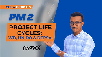 Project Life Cycle; WB, UNIDO, DEPSA Model