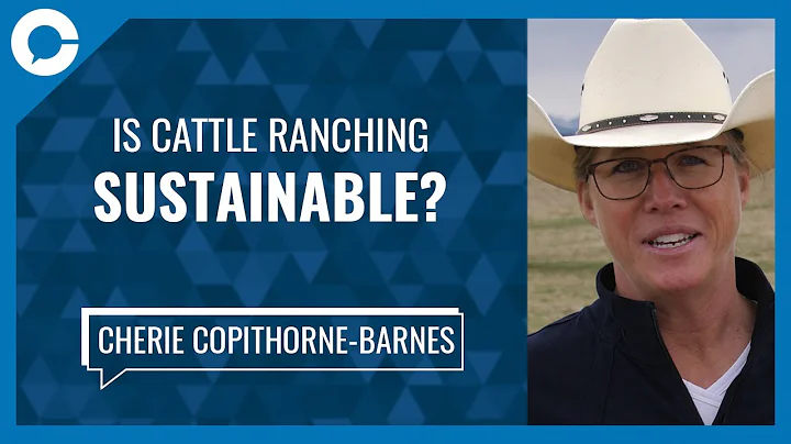 Is cattle ranching sustainable? (w/ Cherie Copitho...