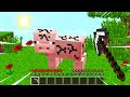 ЭТОТ СЛОМАННЫЙ МАЙНКРАФТ ПОВЕРГНЕТ ВАС В ШОК ! 100% ТРОЛЛИНГ ЛОВУШКА MINECRAFT