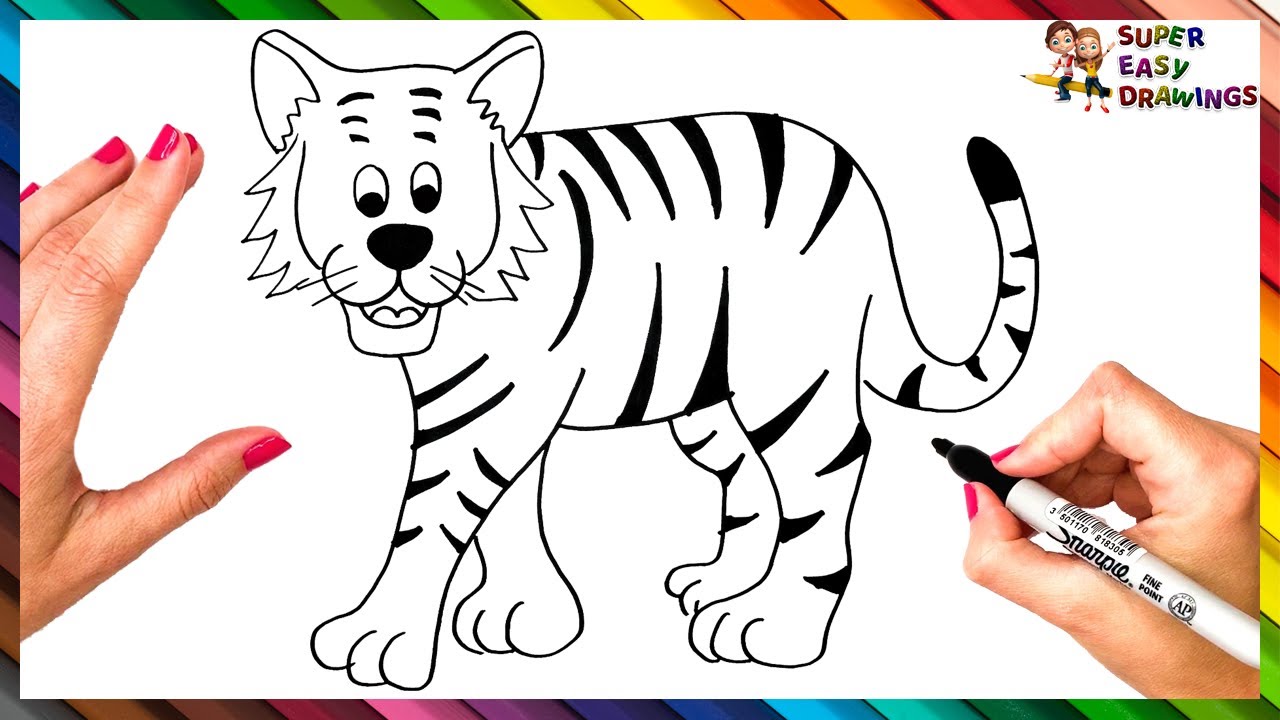 How To Draw A Tiger Step By Step Tiger Drawing Easy Youtube