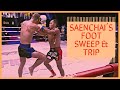 Grasping grappling 33 thai style foot sweep  trip