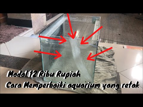 Cara Memperbaiki Aquarium Yang Bocor Tanpa Menguras Air. 