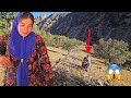 🌲😱 Deadly moment in the mountains | A dry tree fell on Hojjat 🔥🏔️💥