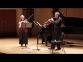 Johannes Brahms Symphony no. 3, movement III: Poco Allegretto