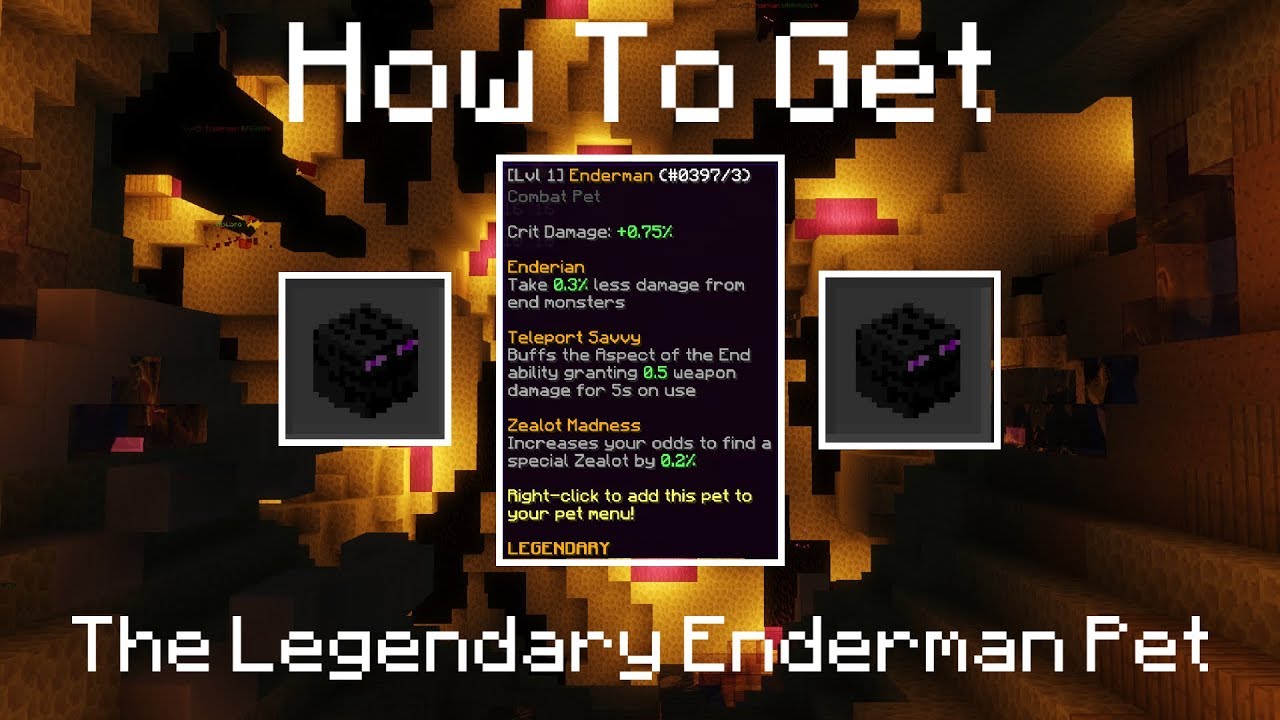 How To Get The Legendary Enderman Pet Hypixel Skyblock Youtube