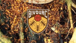 What is a BIVOUAC?