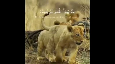 تلاوة جميلة سورة الروم الله يبدئ الخلق