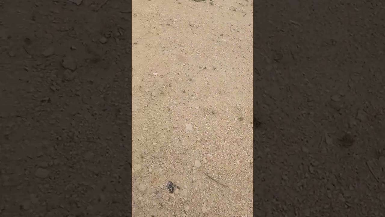 28 فبراير 2026