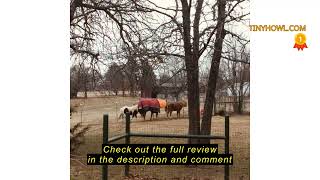Review HILASON 600D Winter Waterproof Poly Turnout Horse Hood Neck Cover | Covers for Horses