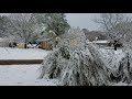 Just some south texas snow 1282017